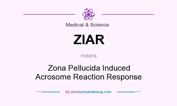 What does ZIAR mean? It stands for Zona Pellucida Induced Acrosome Reaction Response