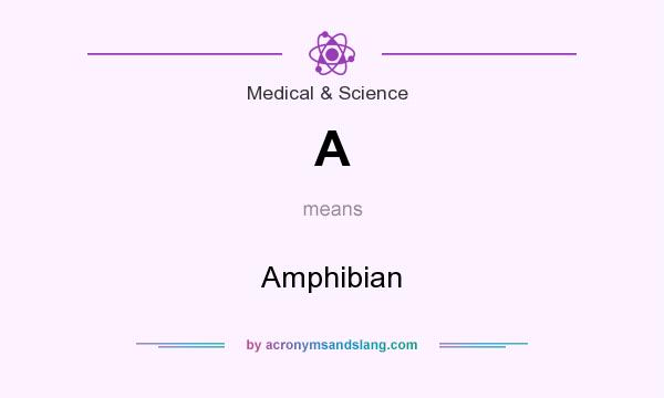 What does A mean? It stands for Amphibian