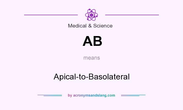 What does AB mean? It stands for Apical-to-Basolateral