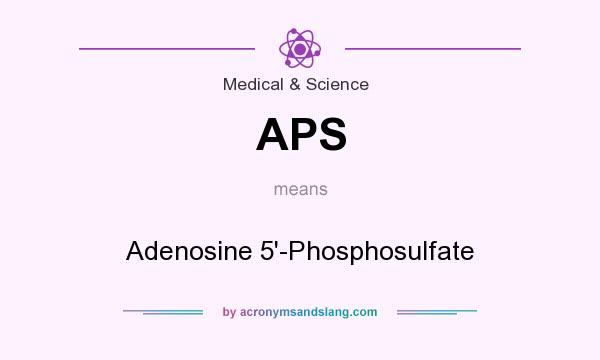 What does APS mean? It stands for Adenosine 5`-Phosphosulfate