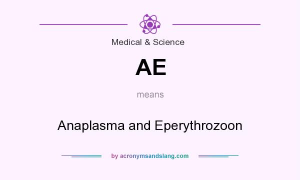 What does AE mean? It stands for Anaplasma and Eperythrozoon