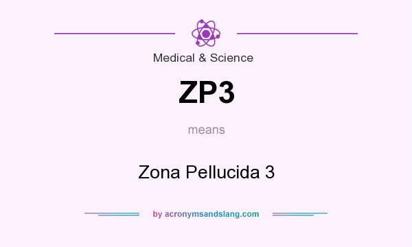 What does ZP3 mean? It stands for Zona Pellucida 3