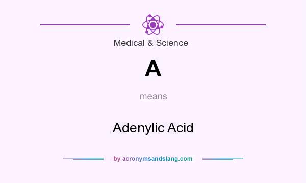 What does A mean? It stands for Adenylic Acid