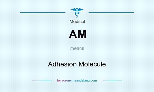 What does AM mean? It stands for Adhesion Molecule