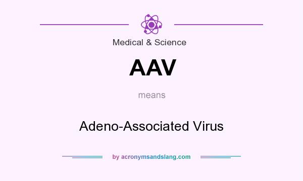 What does AAV mean? It stands for Adeno-Associated Virus