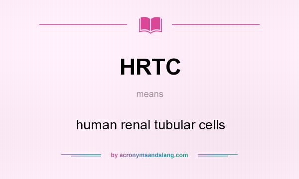What does HRTC mean? It stands for human renal tubular cells