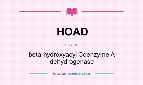 What does HOAD mean? It stands for beta-hydroxyacyl Coenzyme A dehydrogenase