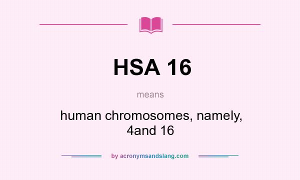 What does HSA 16 mean? It stands for human chromosomes, namely, 4and 16