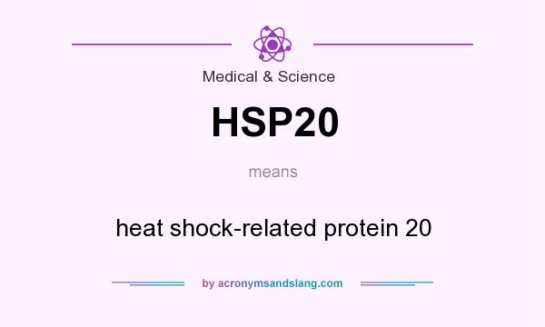 What does HSP20 mean? It stands for heat shock-related protein 20