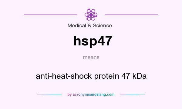 What does hsp47 mean? It stands for anti-heat-shock protein 47 kDa