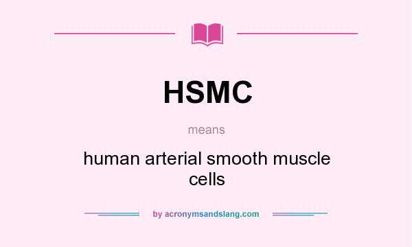 What does HSMC mean? It stands for human arterial smooth muscle cells