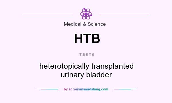 What does HTB mean? It stands for heterotopically transplanted urinary bladder