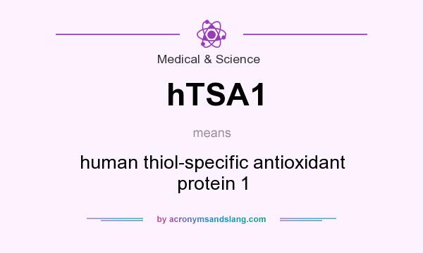 What does hTSA1 mean? It stands for human thiol-specific antioxidant protein 1
