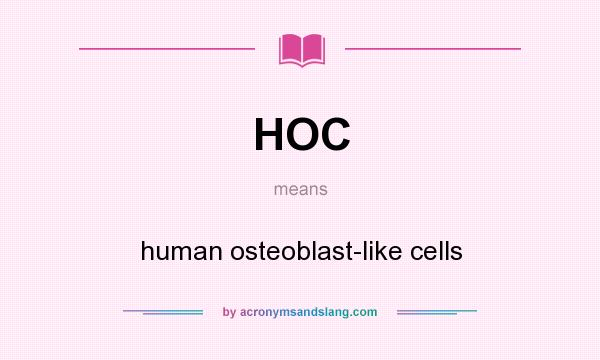 What does HOC mean? It stands for human osteoblast-like cells