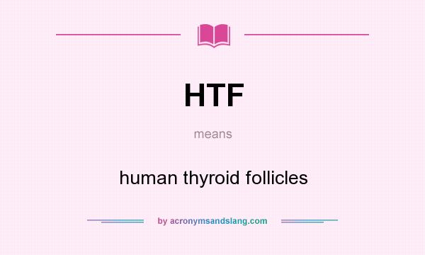 What does HTF mean? It stands for human thyroid follicles
