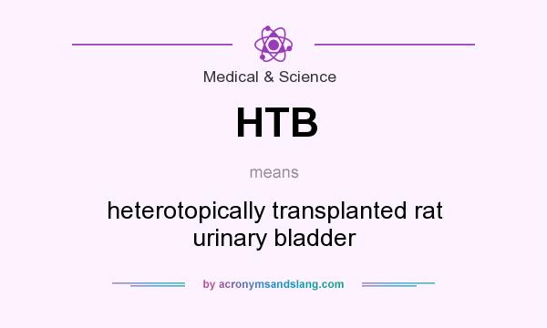 What does HTB mean? It stands for heterotopically transplanted rat urinary bladder