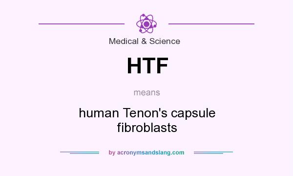 What does HTF mean? It stands for human Tenon`s capsule fibroblasts