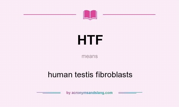 What does HTF mean? It stands for human testis fibroblasts