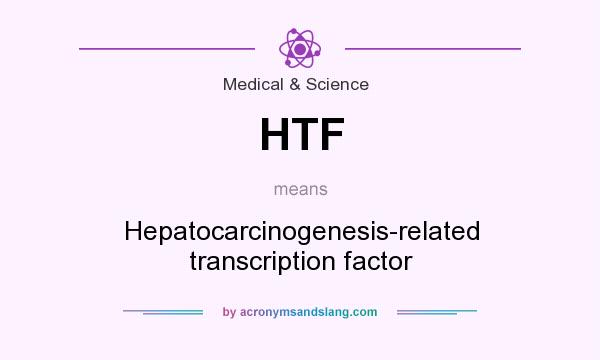 What does HTF mean? It stands for Hepatocarcinogenesis-related transcription factor