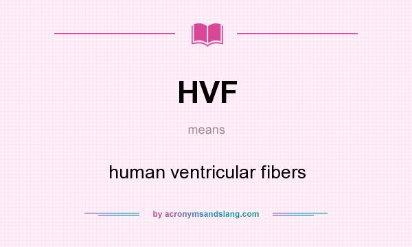 What does HVF mean? It stands for human ventricular fibers