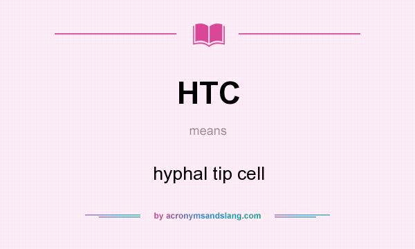 What does HTC mean? It stands for hyphal tip cell