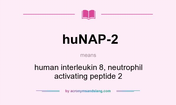 What does huNAP-2 mean? It stands for human interleukin 8, neutrophil activating peptide 2