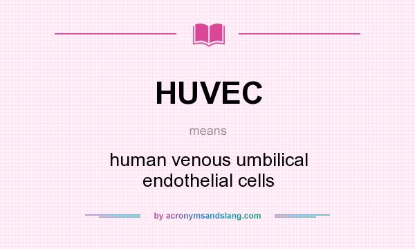 What does HUVEC mean? It stands for human venous umbilical endothelial cells