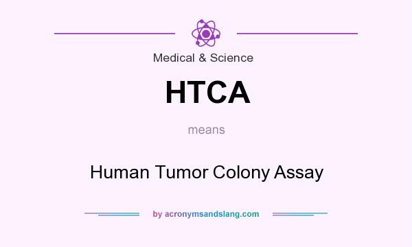 What does HTCA mean? It stands for Human Tumor Colony Assay