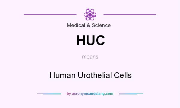 What does HUC mean? It stands for Human Urothelial Cells