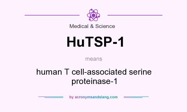 What does HuTSP-1 mean? It stands for human T cell-associated serine proteinase-1