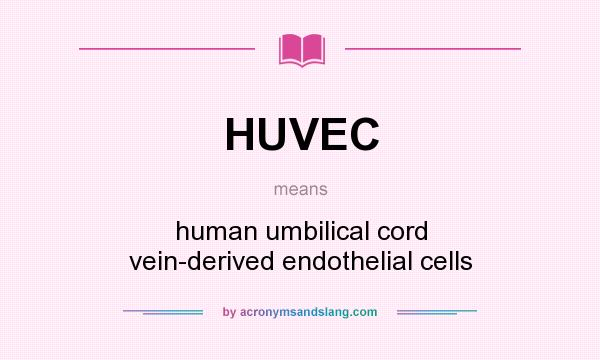 What does HUVEC mean? It stands for human umbilical cord vein-derived endothelial cells