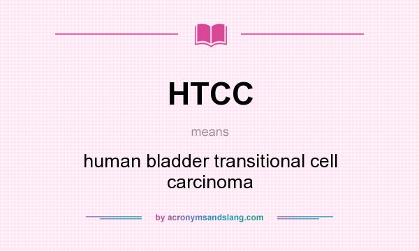 What does HTCC mean? It stands for human bladder transitional cell carcinoma