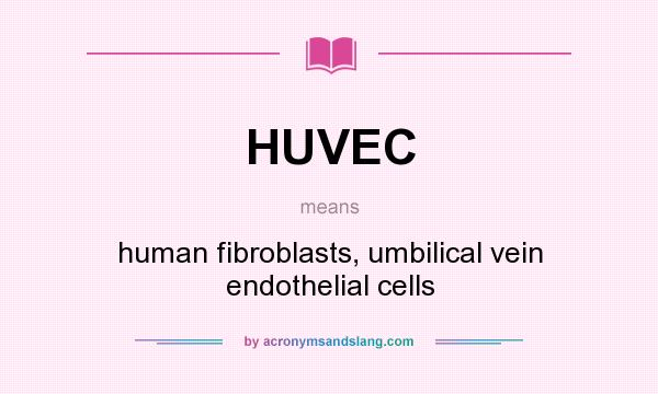 What does HUVEC mean? It stands for human fibroblasts, umbilical vein endothelial cells