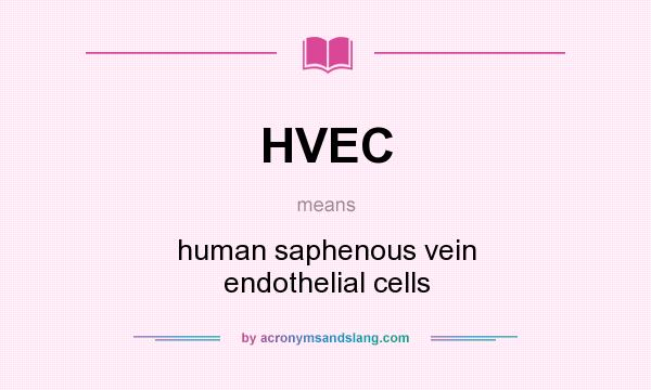 What does HVEC mean? It stands for human saphenous vein endothelial cells