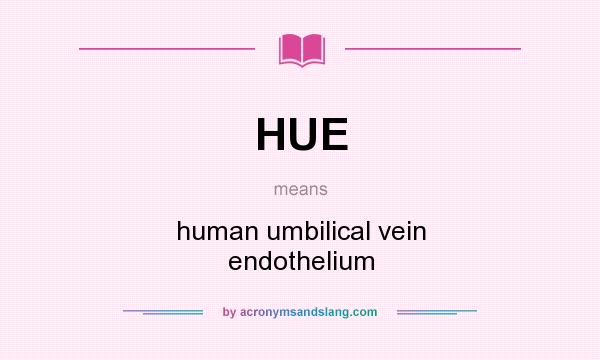 What does HUE mean? It stands for human umbilical vein endothelium