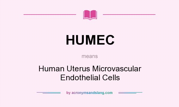 What does HUMEC mean? It stands for Human Uterus Microvascular Endothelial Cells