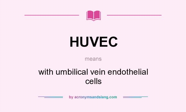 What does HUVEC mean? It stands for with umbilical vein endothelial cells