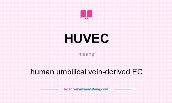 What does HUVEC mean? It stands for human umbilical vein-derived EC