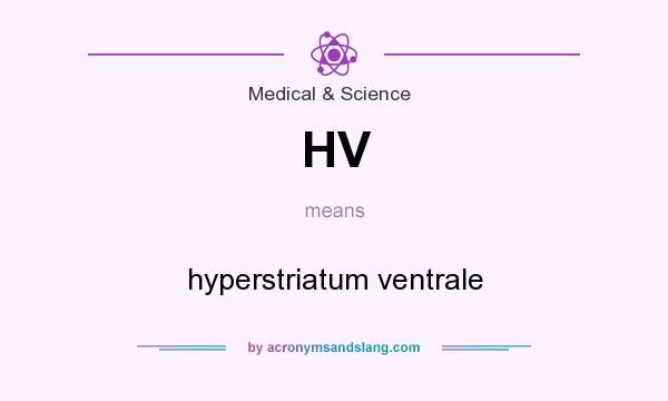 What does HV mean? It stands for hyperstriatum ventrale