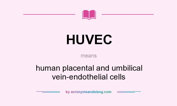 What does HUVEC mean? It stands for human placental and umbilical vein-endothelial cells