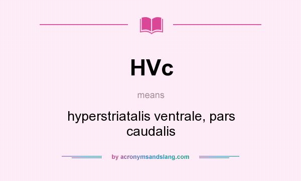 What does HVc mean? It stands for hyperstriatalis ventrale, pars caudalis