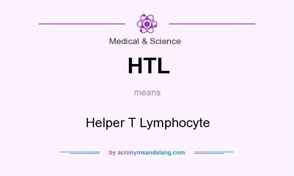 What does HTL mean? It stands for Helper T Lymphocyte