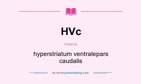 What does HVc mean? It stands for hyperstriatum ventralepars caudalis