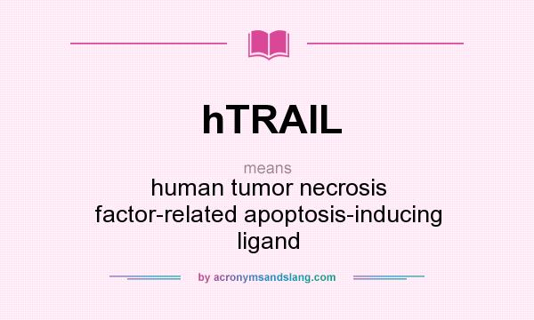 What does hTRAIL mean? It stands for human tumor necrosis factor-related apoptosis-inducing ligand