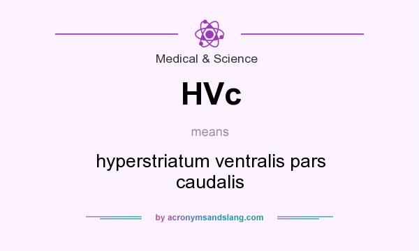 What does HVc mean? It stands for hyperstriatum ventralis pars caudalis