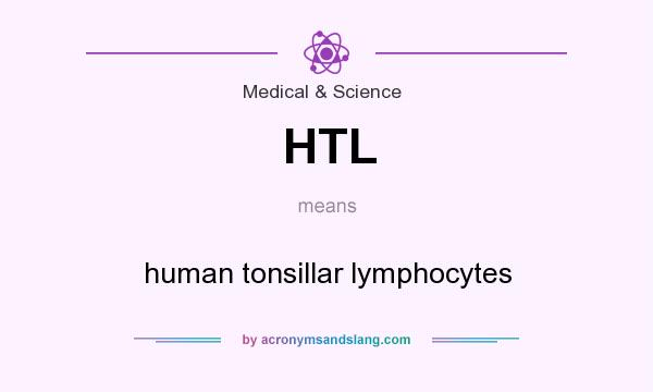 What does HTL mean? It stands for human tonsillar lymphocytes