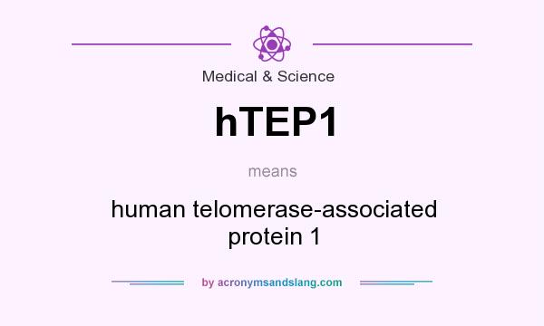 What does hTEP1 mean? It stands for human telomerase-associated protein 1