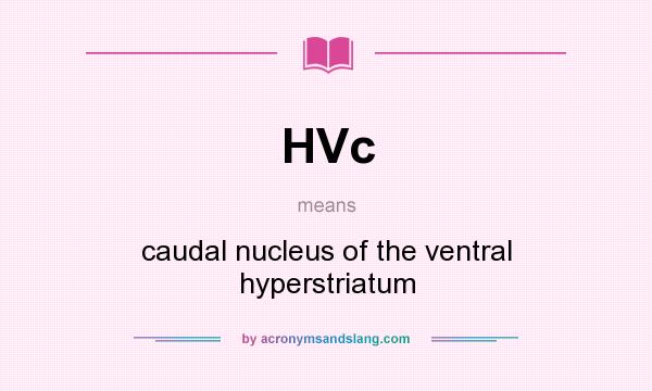 What does HVc mean? It stands for caudal nucleus of the ventral hyperstriatum