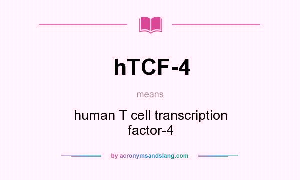 What does hTCF-4 mean? It stands for human T cell transcription factor-4