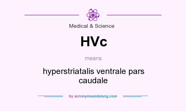 What does HVc mean? It stands for hyperstriatalis ventrale pars caudale
